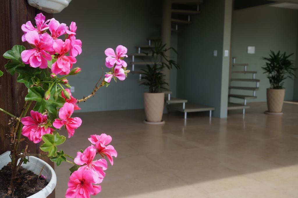 Pdr Suites Praia do Rosa Bagian luar foto